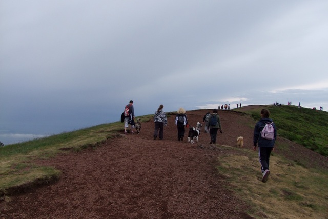 Rassemblement d'Akita Inus en Auvergne (photos) Dscf5918