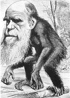 ALL'ANTICANE DI EMA 49 - Pagina 4 Darwin10
