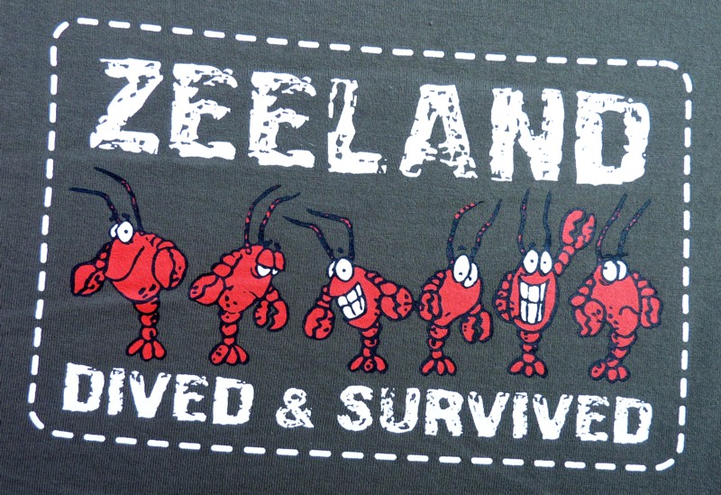 Back from Zeeland Zeelan11