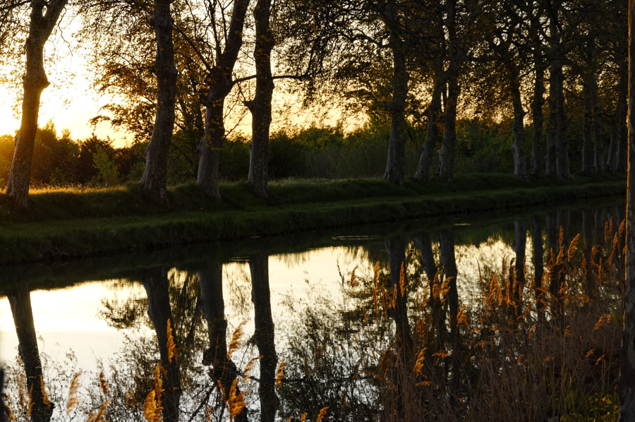 Canal du Midi Gv_11022