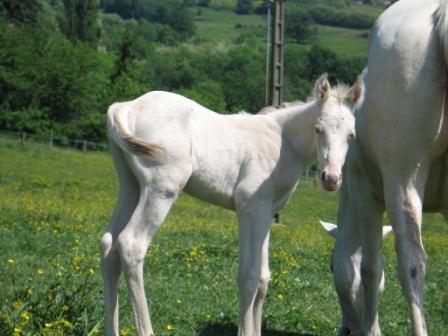 [Plus à vendre] Bianco Baby Dude Bianco17