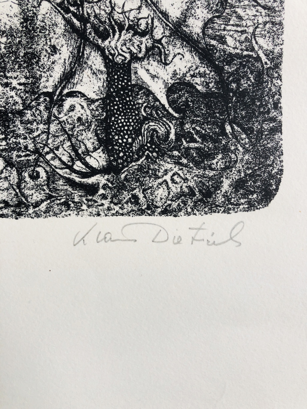 Lithographie créatures surréalistes  signée Klaus dietrich 4aa22310