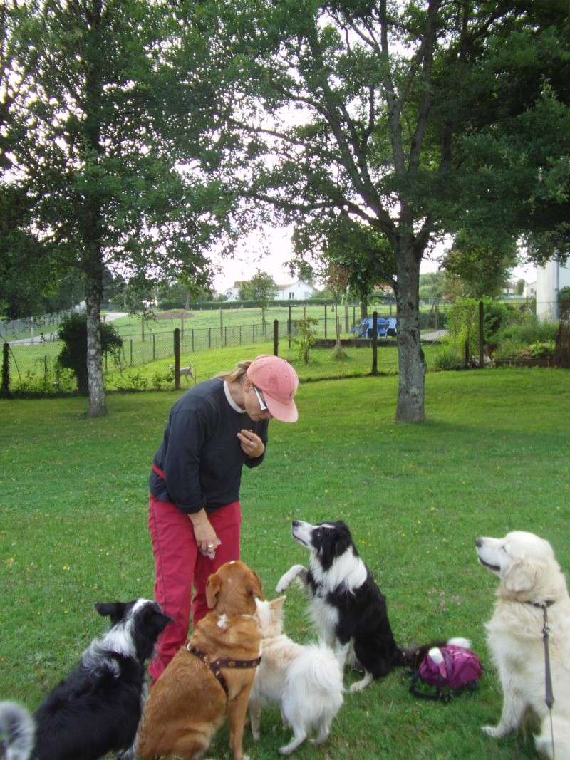 Les promenades et les copains de Poppy et Lulu Chiens12