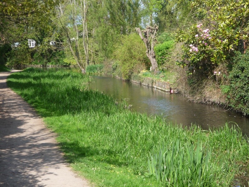 Aylesbury, Wendover, The arm of the canal that never was 00416