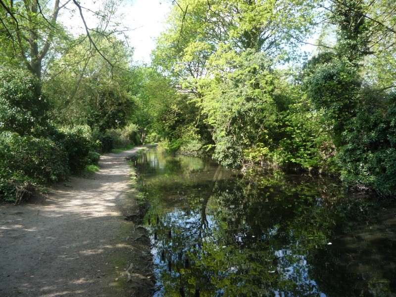 Aylesbury, Wendover, The arm of the canal that never was 00713