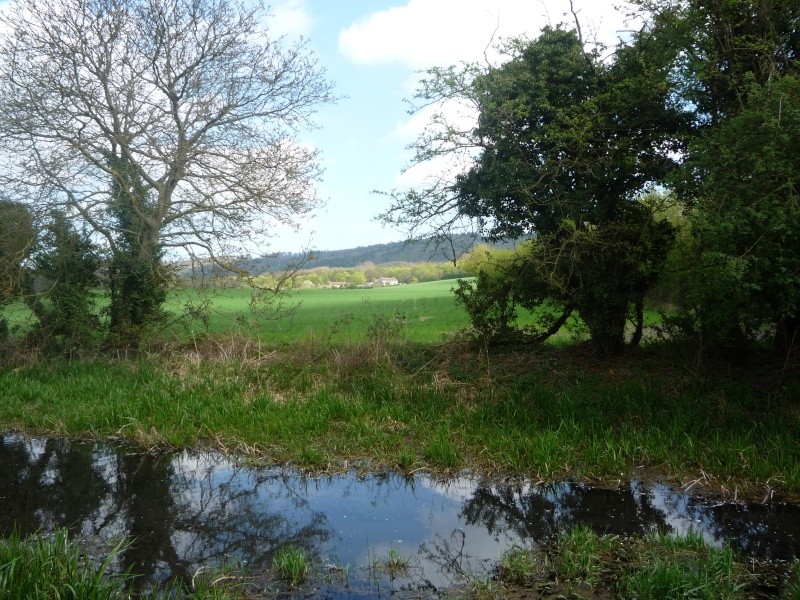 Aylesbury, Wendover, The arm of the canal that never was 01313