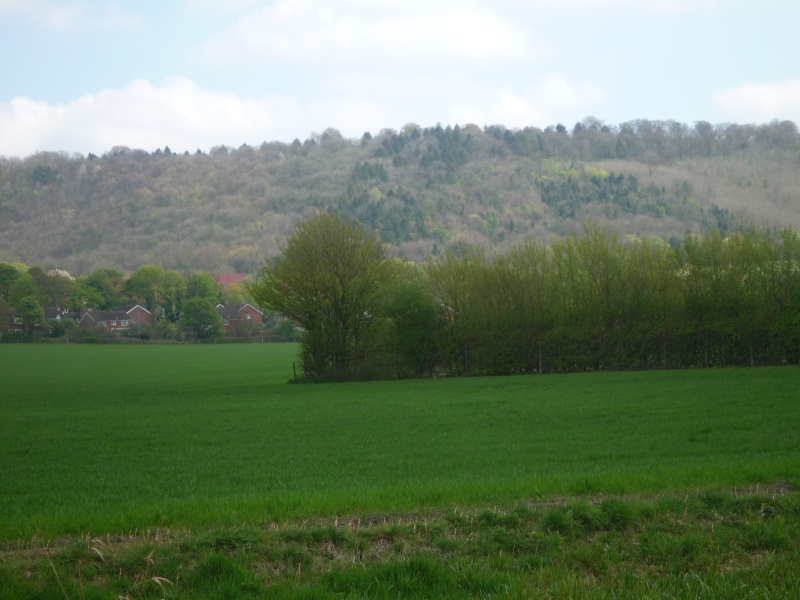 Aylesbury, Wendover, The arm of the canal that never was 01412