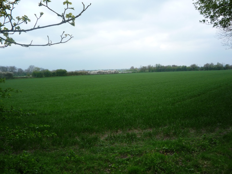 Aylesbury, Wendover, The arm of the canal that never was 02413