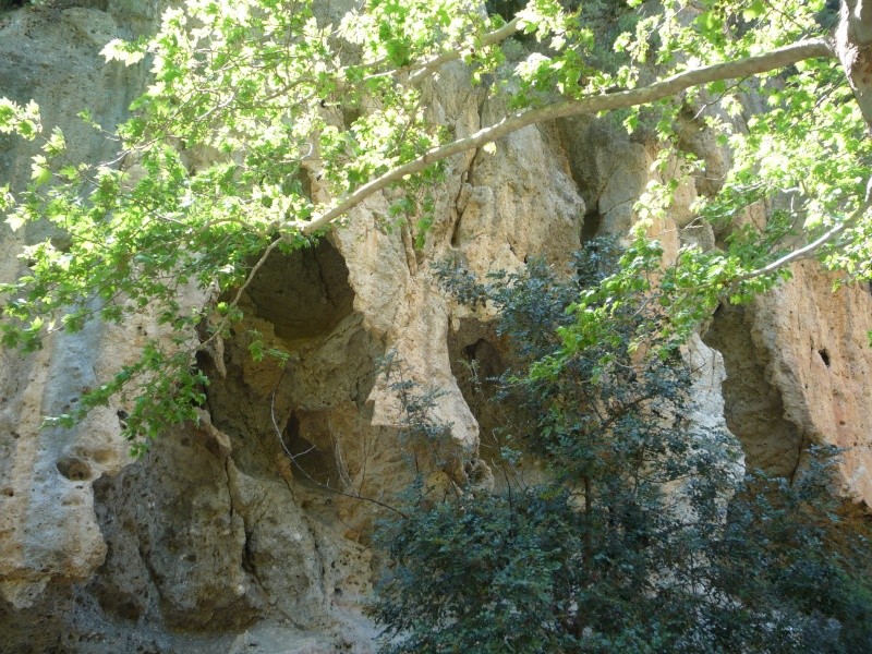 Greece, Island of Crete, Paleochora, Walk to Anidri 06511