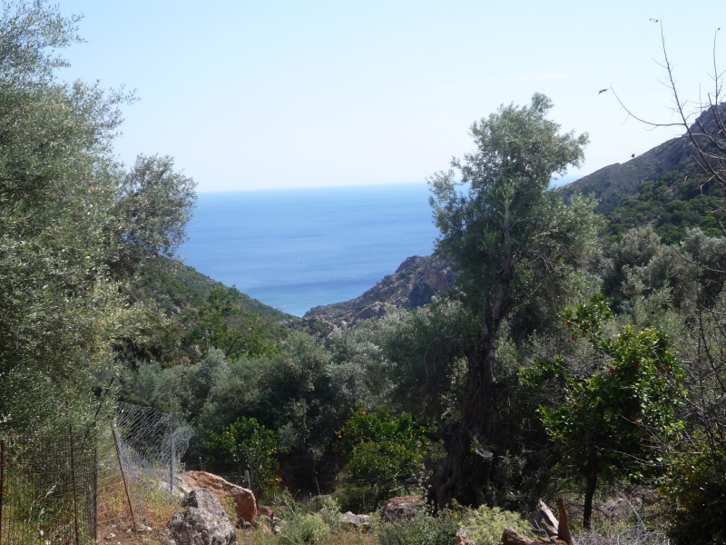 Greece, Island of Crete, Paleochora, Walk to Anidri 06911