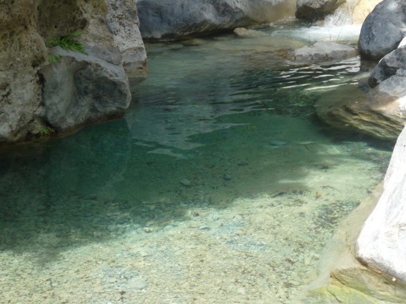 Greece, Island of Crete, Paleochora, The Samaria Gorge Walk 16811