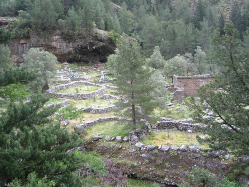 Greece, Island of Crete, Paleochora, The Samaria Gorge Walk 17711