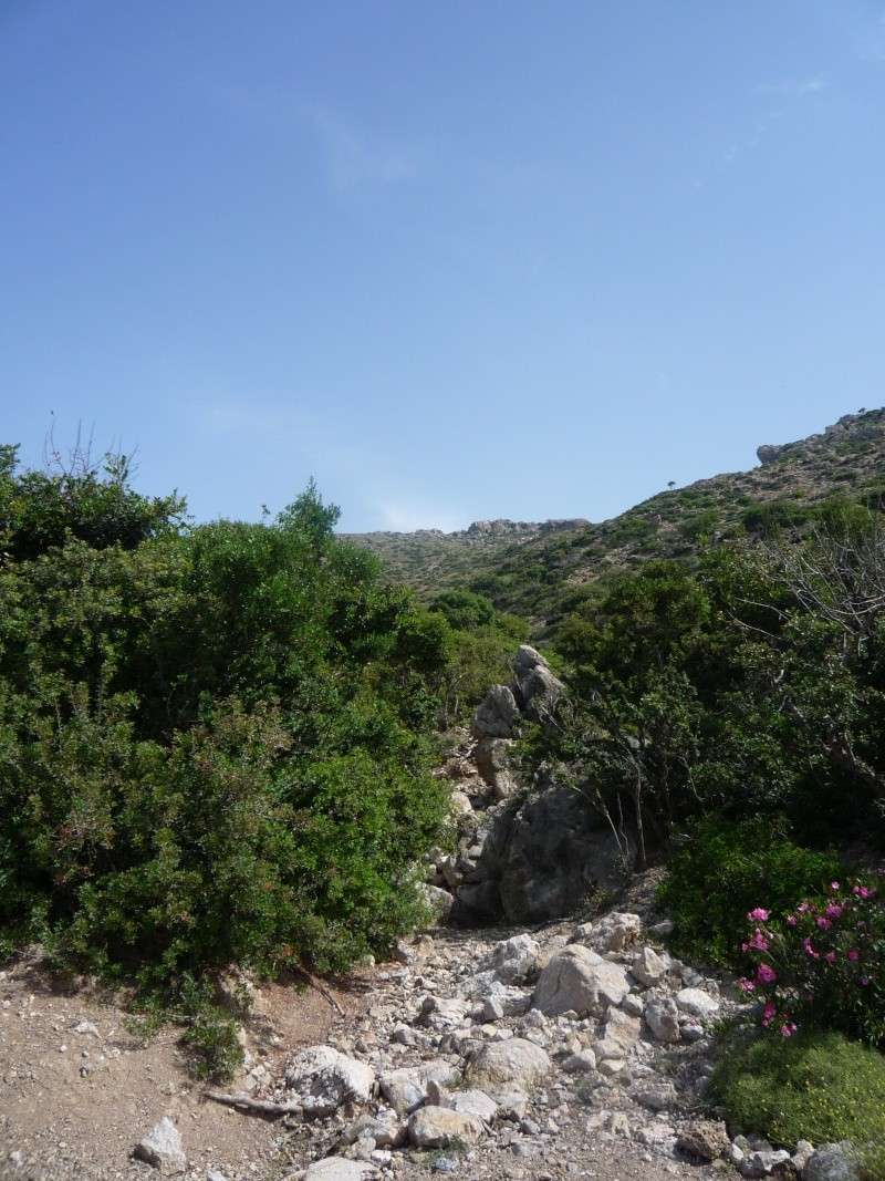 Greece, Island of Crete, Paleochora, Walk to Anidri 20810