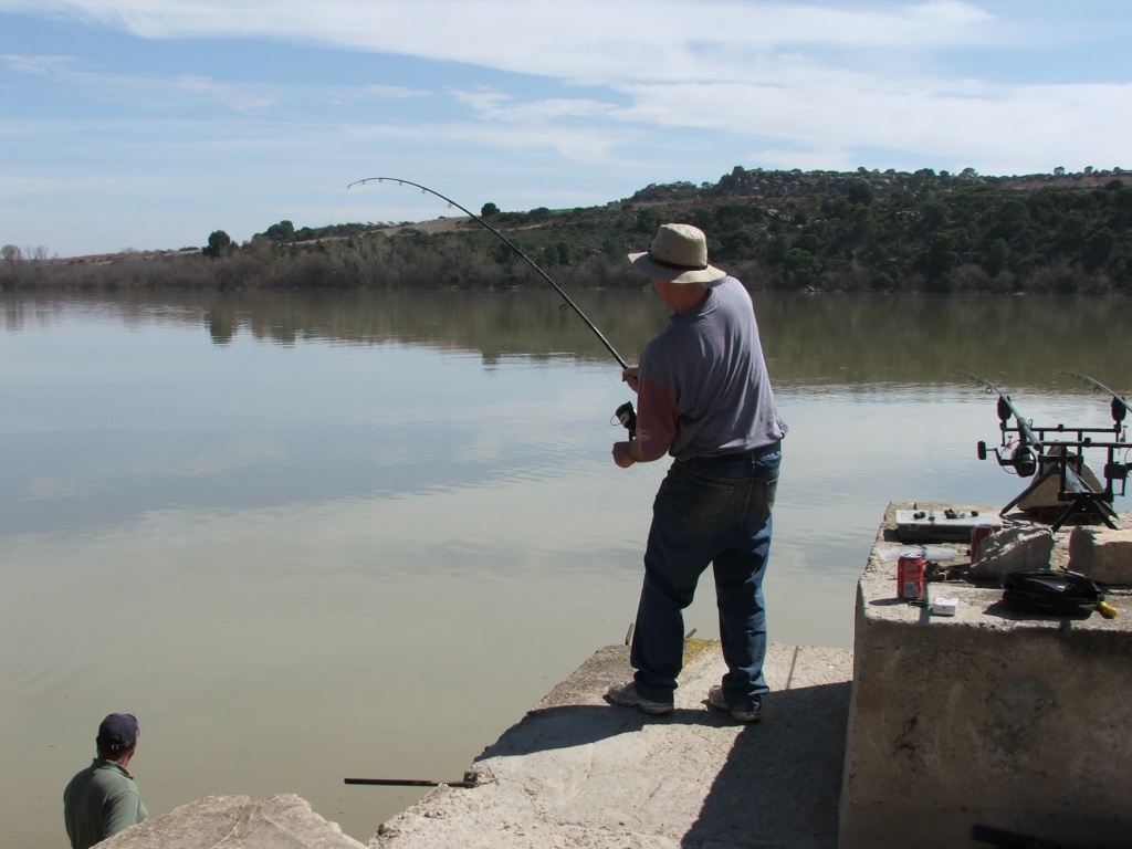 Spain, Caspe, A Catfishing Holiday on the River Ebro Catfis13