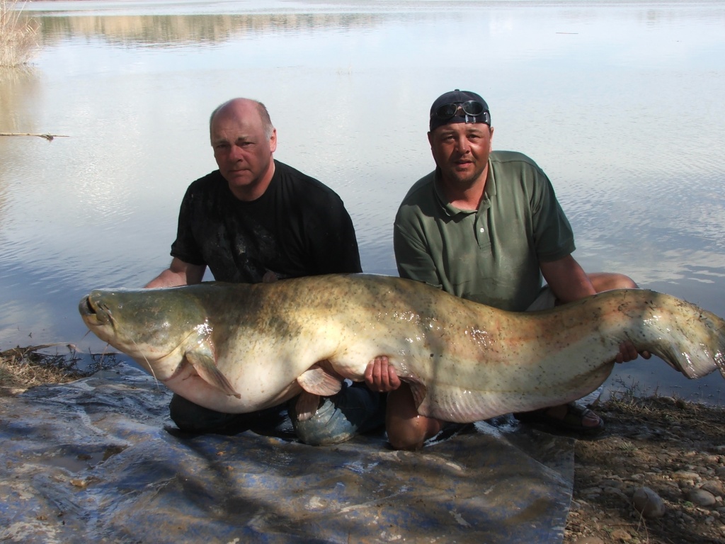 Spain, Caspe, A Catfishing Holiday on the River Ebro Catfis18