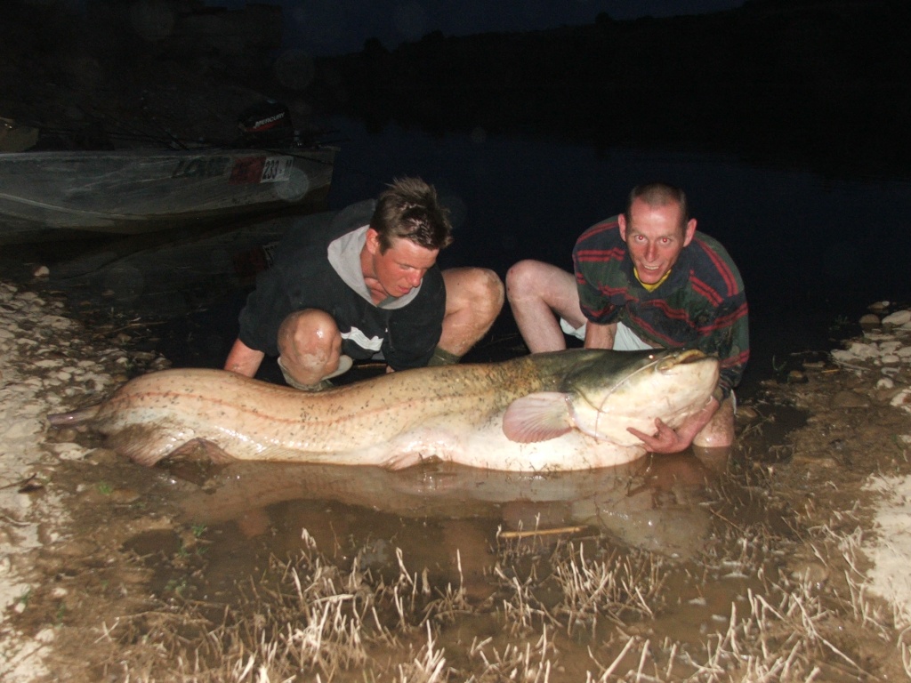 Spain, Caspe, A Catfishing Holiday on the River Ebro Catfis20