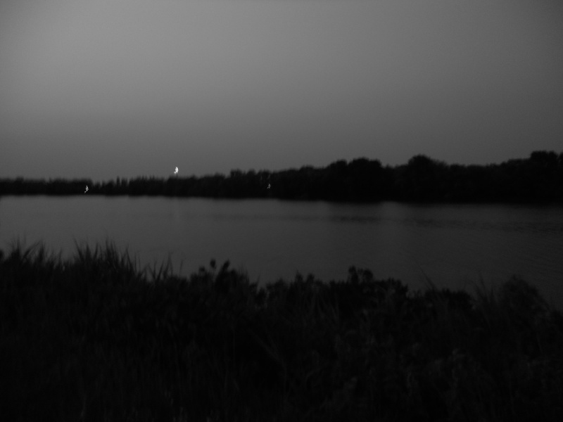 Foto di Taglio di Po di notte 13/05/2011 Dscn0430