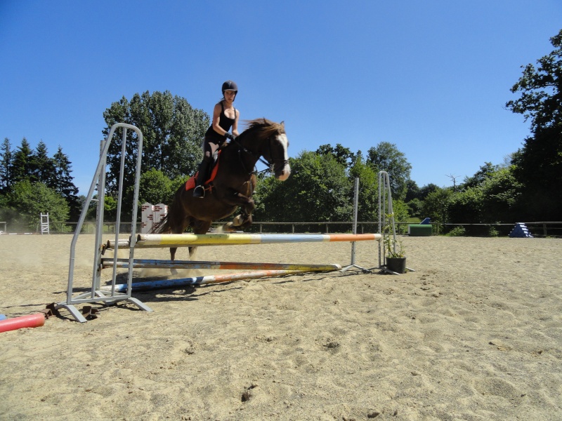 Nos position à l'obstacle ! Dsc03116