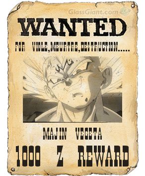 Le Projet WANTED Wanted11