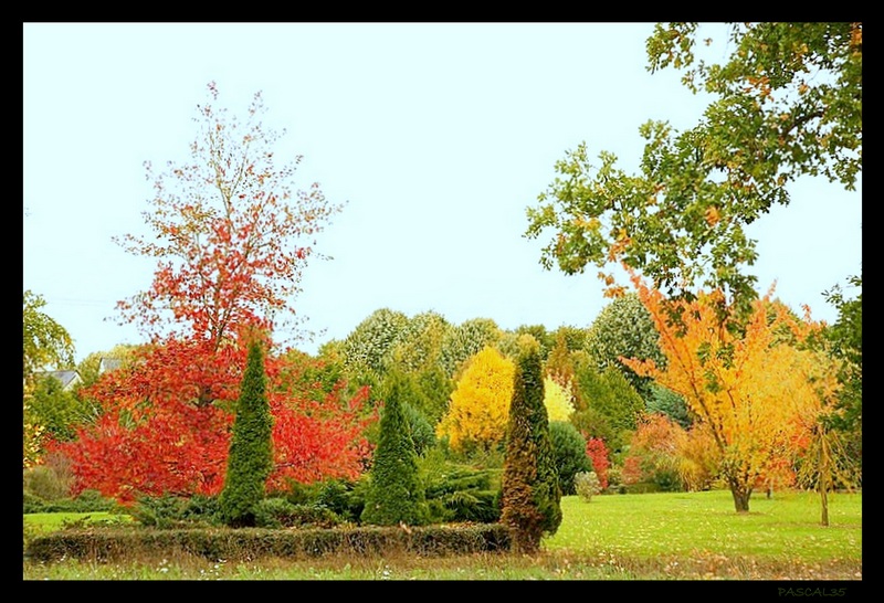 Couleurs d'Automne  2010_113