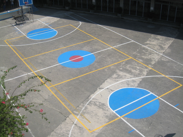 Basketball and Volleyball Court Lining Img_6138