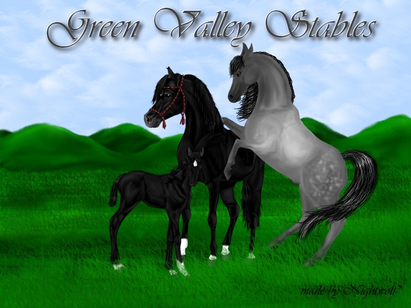Green Valley Stable Family10