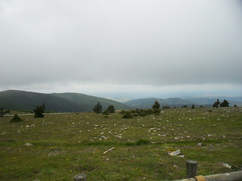 Entre Gévaudan, Cévennes et Aubrac Sam_0414