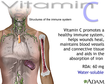 The C Vitamins Vitami11
