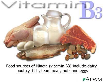 The B Vitamins Vitami14