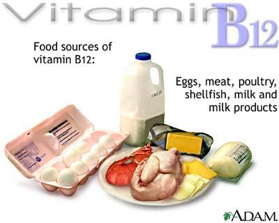 The B Vitamins Vitami15