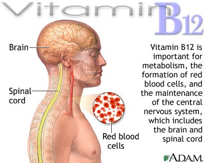 The B Vitamins Vitami16