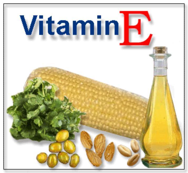 The E Vitamins Vitami19