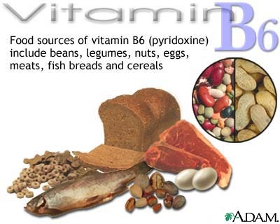 The B Vitamins Vitb6_10