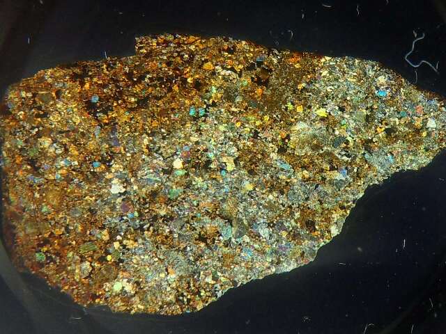 Thin section Nwa_1011