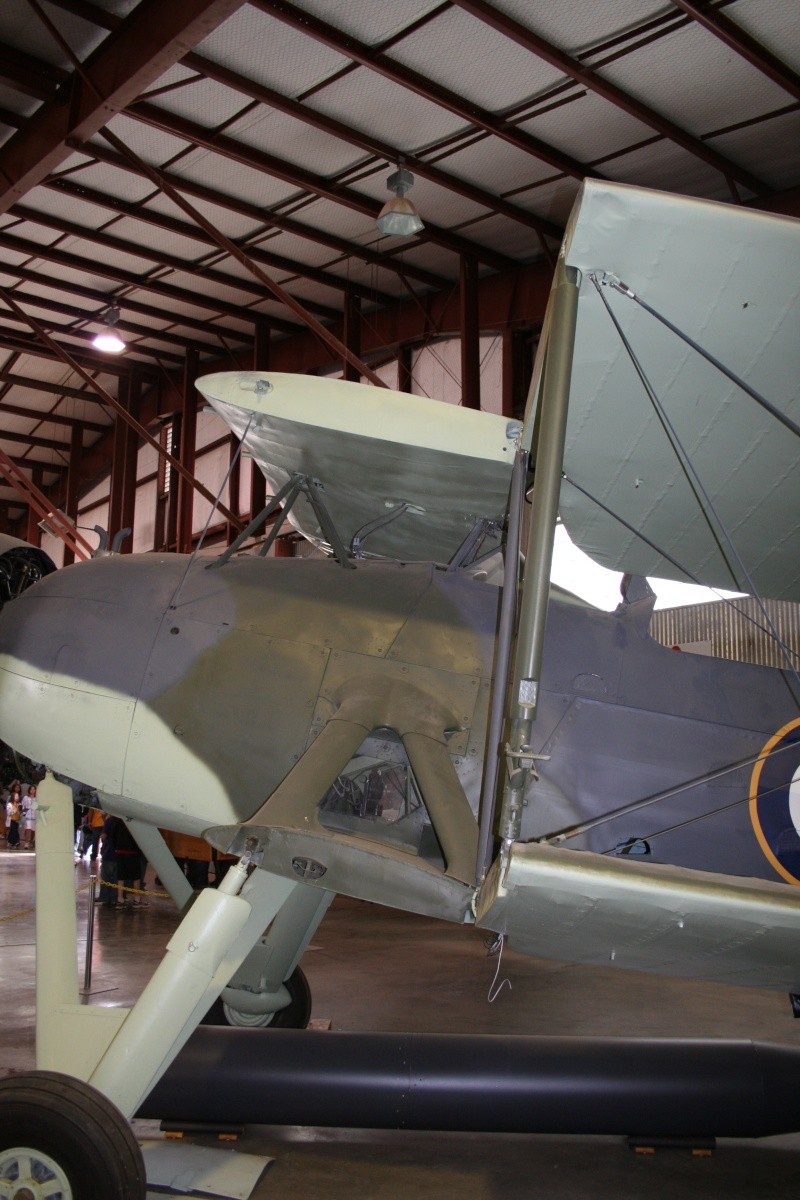 Fairy Swordfish MK I Img_9310