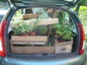 Bourses aux plantes - Trocs verts Auto_110