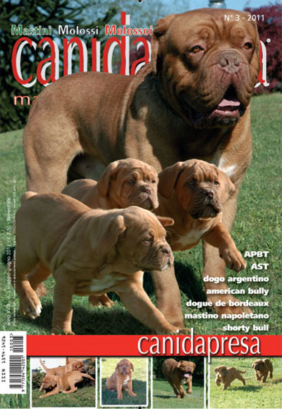 articoli su cani d apresa magazine 20110510