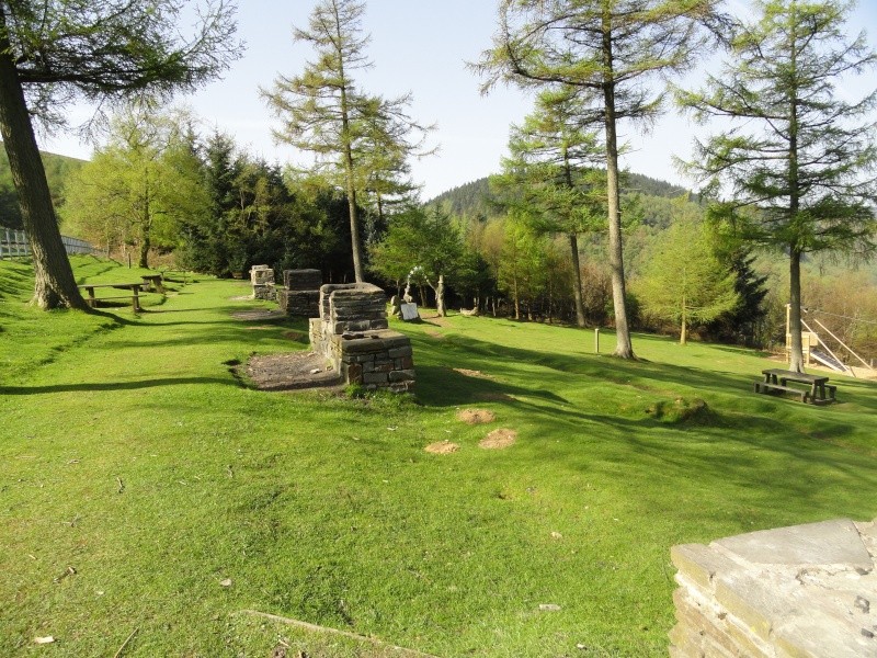 a sunday morning walk up twmbarlwm and cwmcarn forest Dsc02318