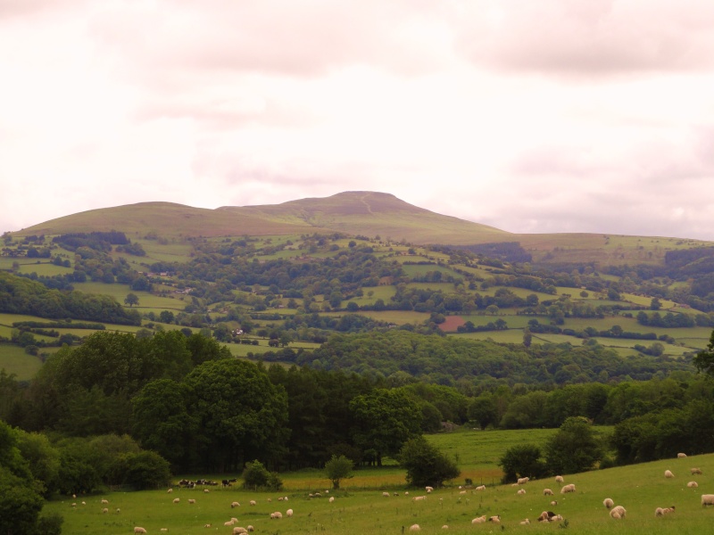 llangattock escarpment to lonely sheppard,crickhowell area Dsc02815