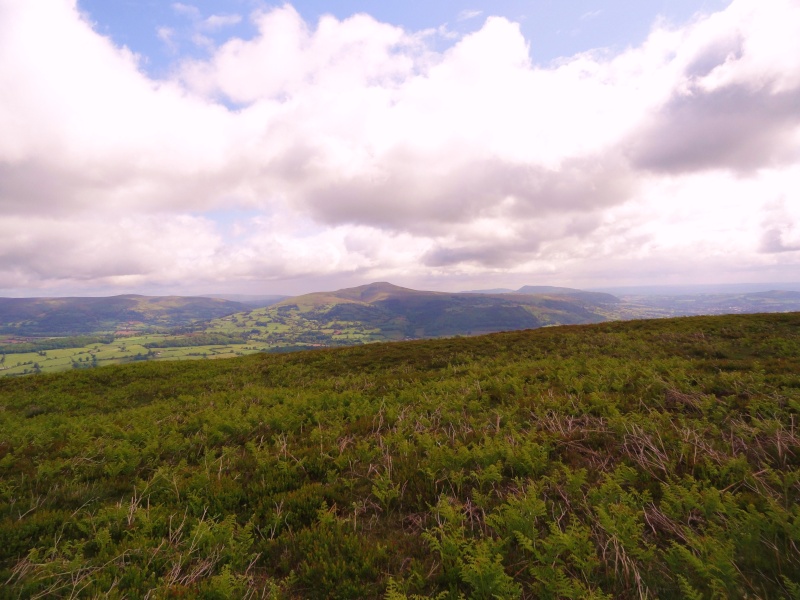 llangattock escarpment to lonely sheppard,crickhowell area Dsc02851