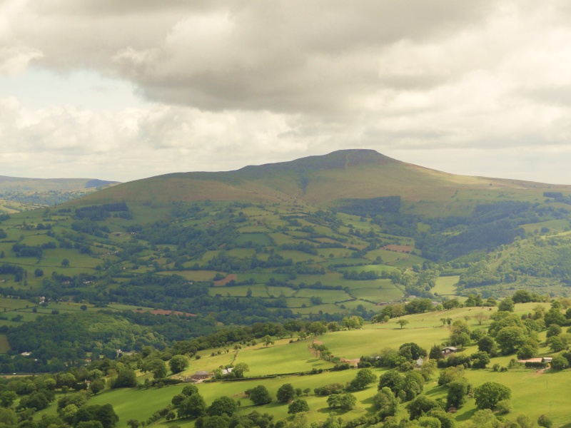 llangattock escarpment to lonely sheppard,crickhowell area - Page 2 Dsc02911