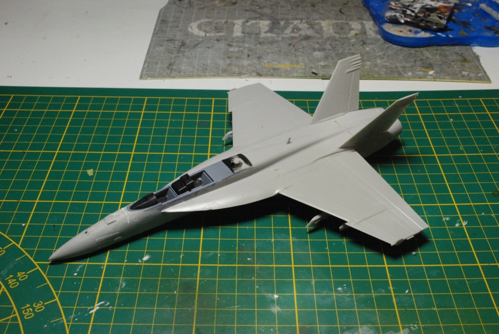 [Hasegawa] F/A-18F Super Hornet Dsc_9510