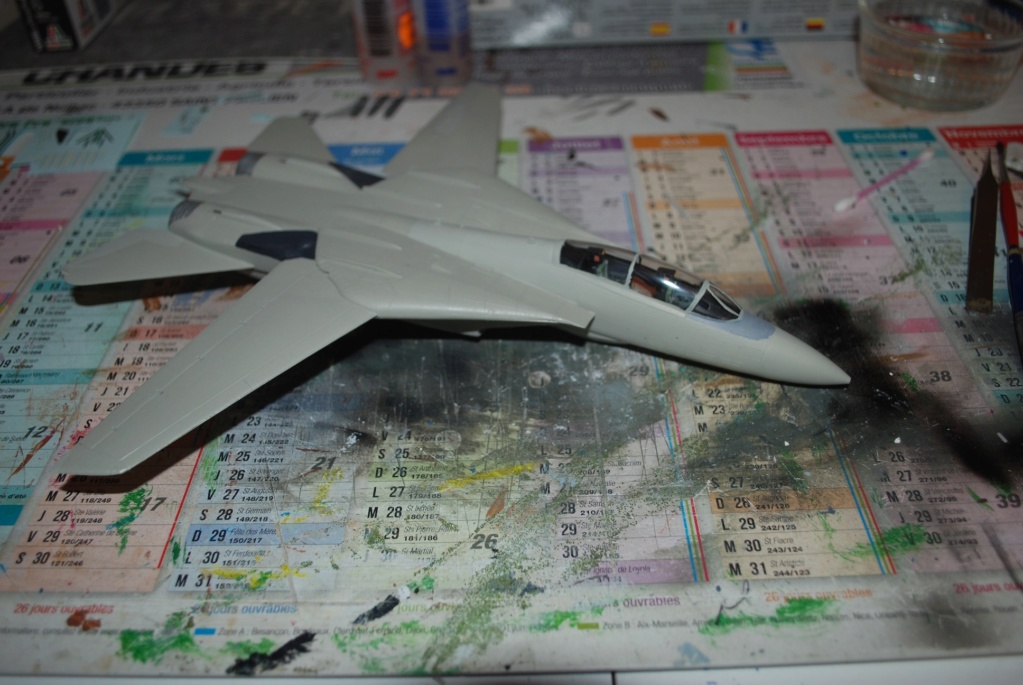 [FINI][HASEGAWA] F-14A Tomcat "FINI" Haseg114