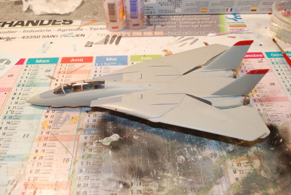 [FINI][HASEGAWA] F-14A Tomcat "FINI" Haseg119