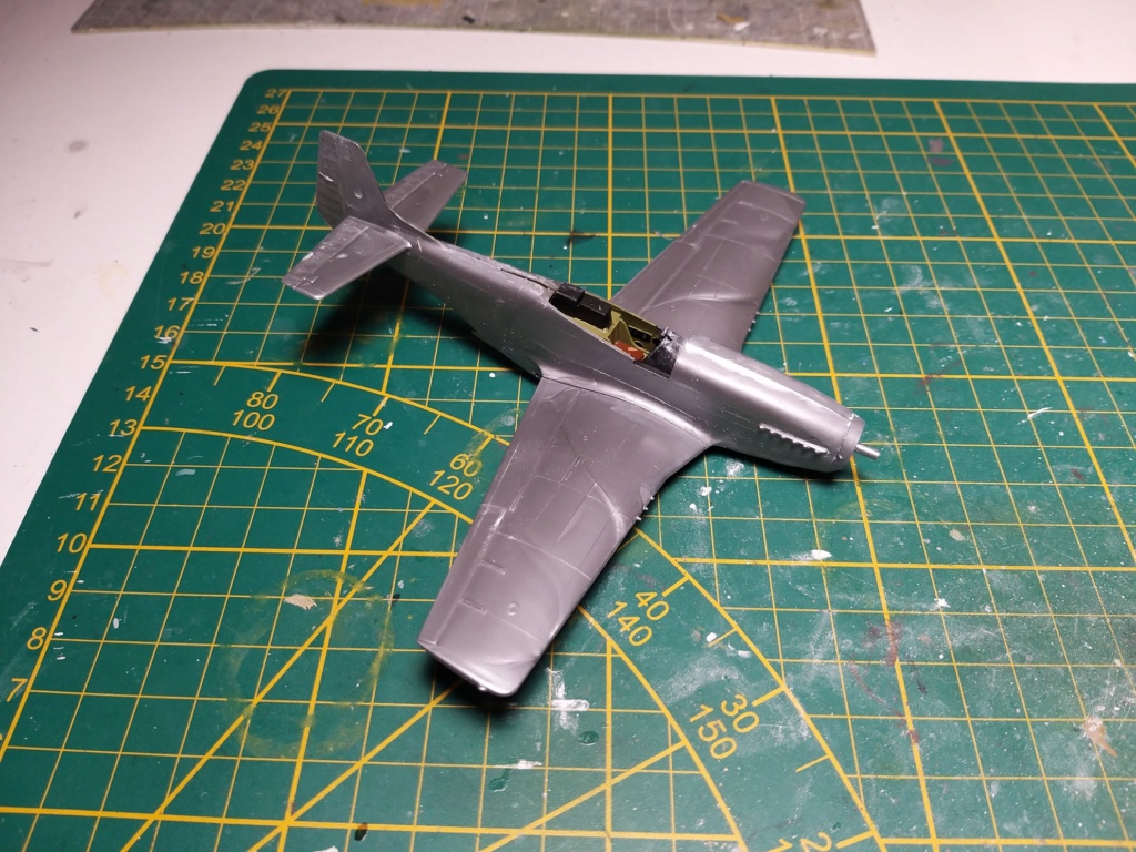 [Hasegawa] P-51D Mustang (2ème édition) Haseg575
