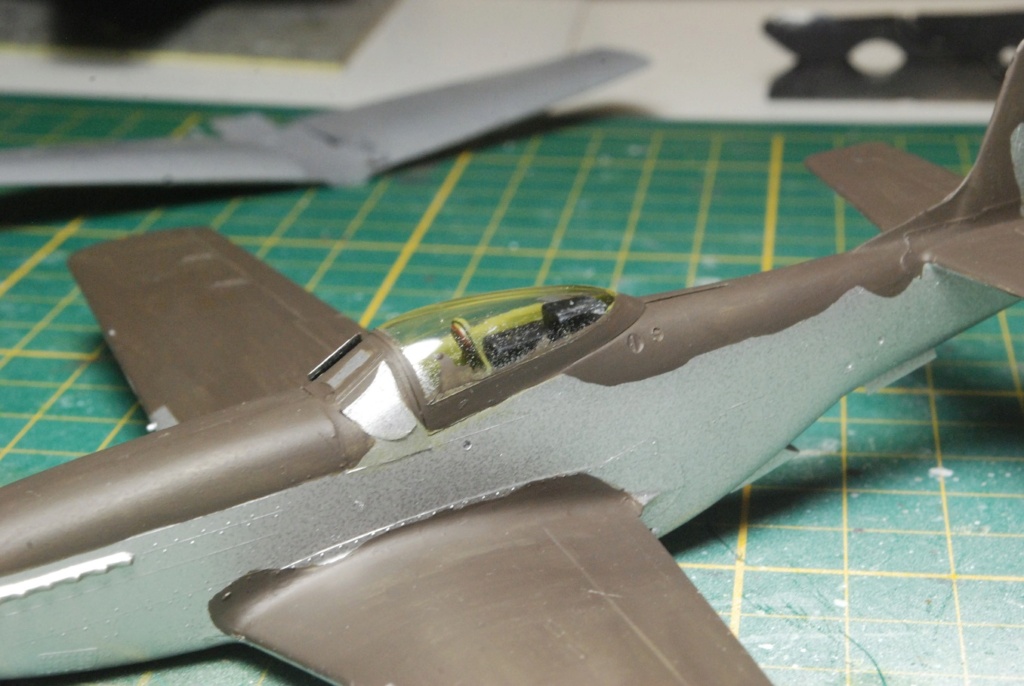 [Hasegawa] P-51D Mustang (2ème édition) Haseg584