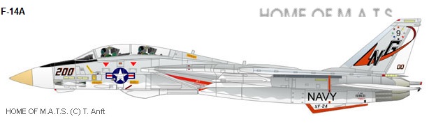 [FINI][HASEGAWA] F-14A Tomcat "FINI" Profil10