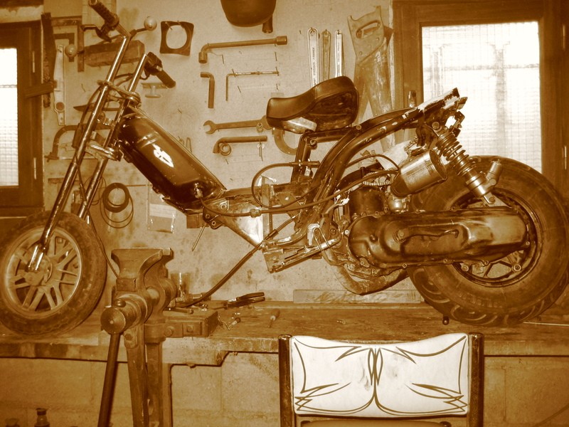 Mobscoot rat's evo 1 Img84110