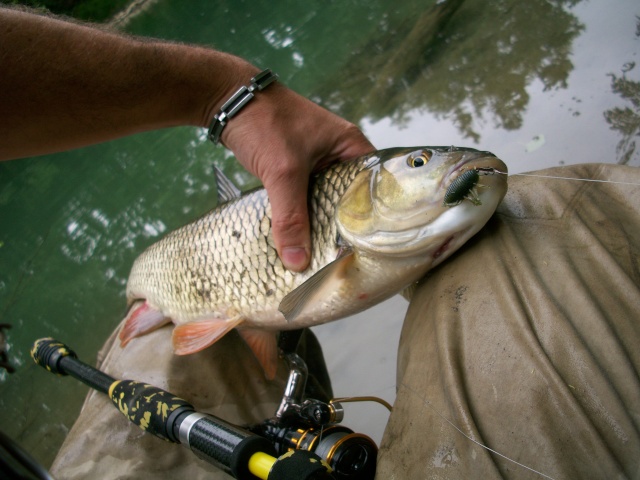 VOTRE PECHE DE MAI 103_0920