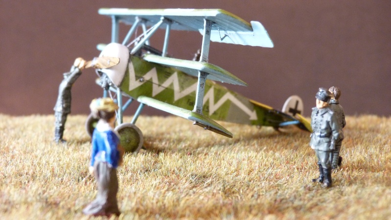  Re ...fokker dr1 de chez eduard 1/72  Dio_fo18